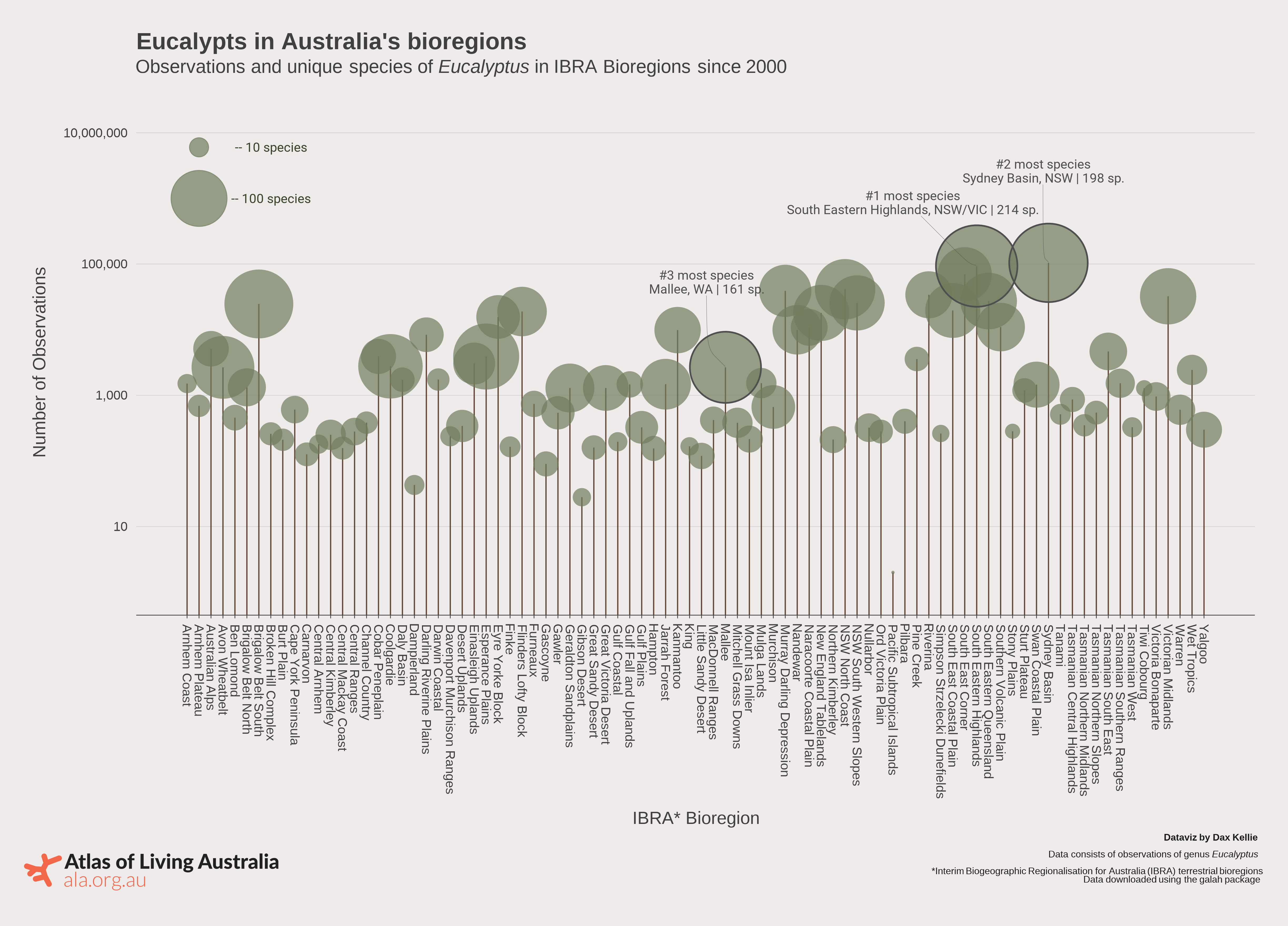 Eucalypts